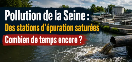 🚨 Sur Sénart, stations saturées, Seine en danger